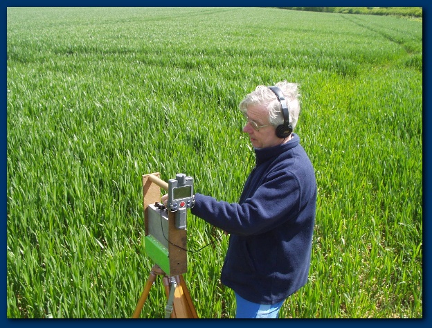 600x449 pixels (196K)